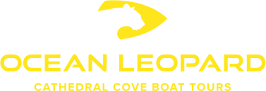 Logo Ocean Leopard Tours