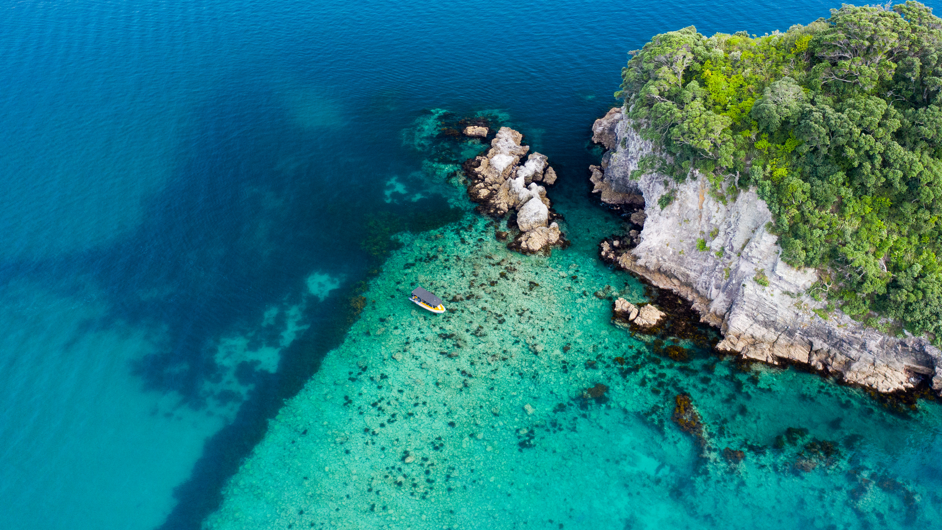 Clear Waters of Mercury Bay, Ocean Leopard - Cathedral Cove Boat Tours