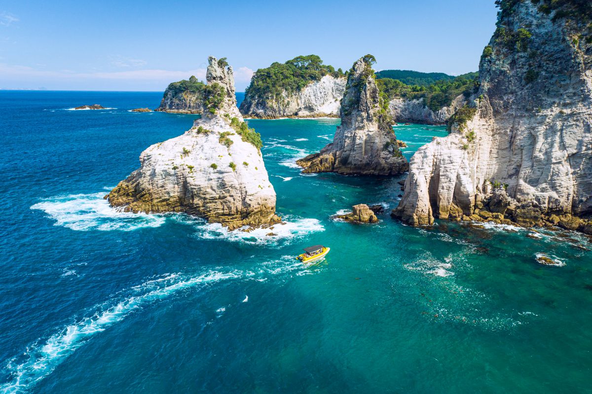 Ocean Leopard Tours