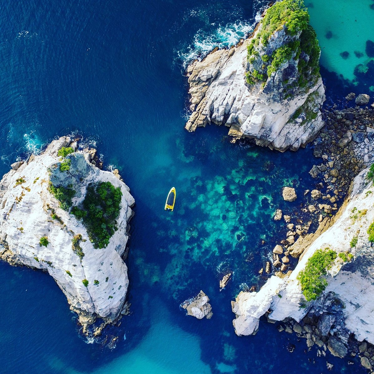 Ocean Leopard Tours