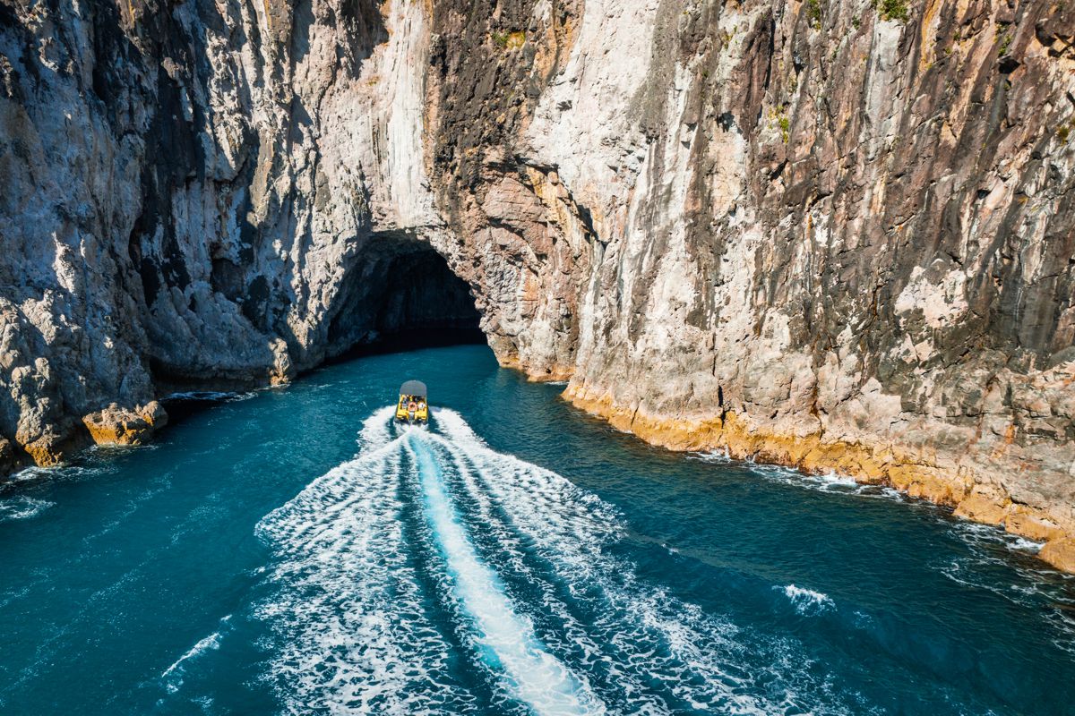 Ocean Leopard - Cathedral Cove Boat Tours