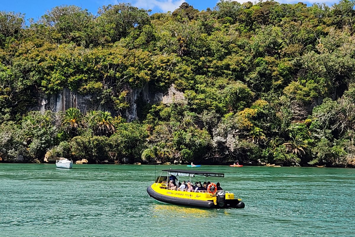 Ocean Leopard - Cathedral Cove Boat Tours