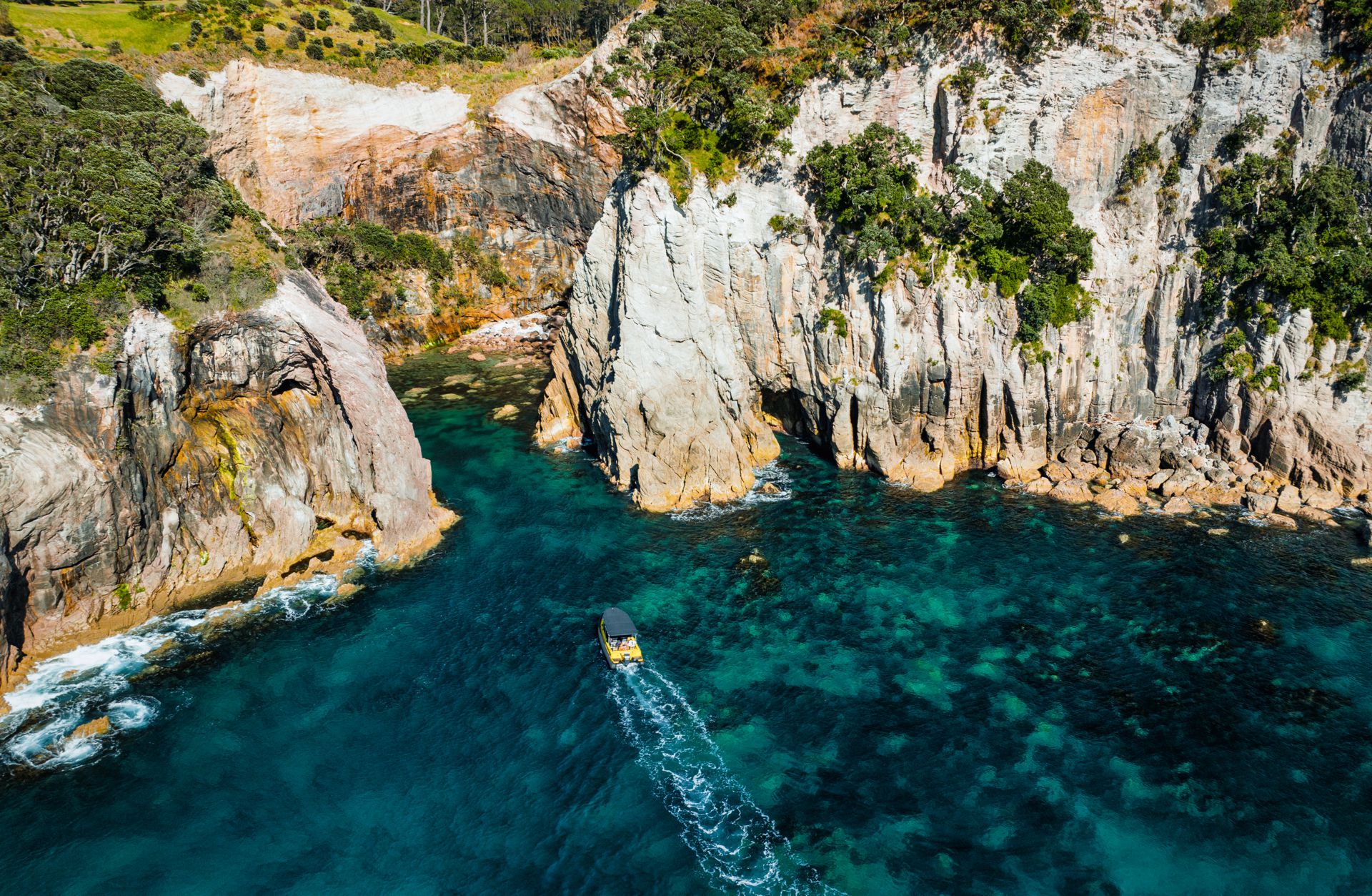 Big Blowhole past Hahei, Ocean Leopard - Cathedral Cove Boat Tours