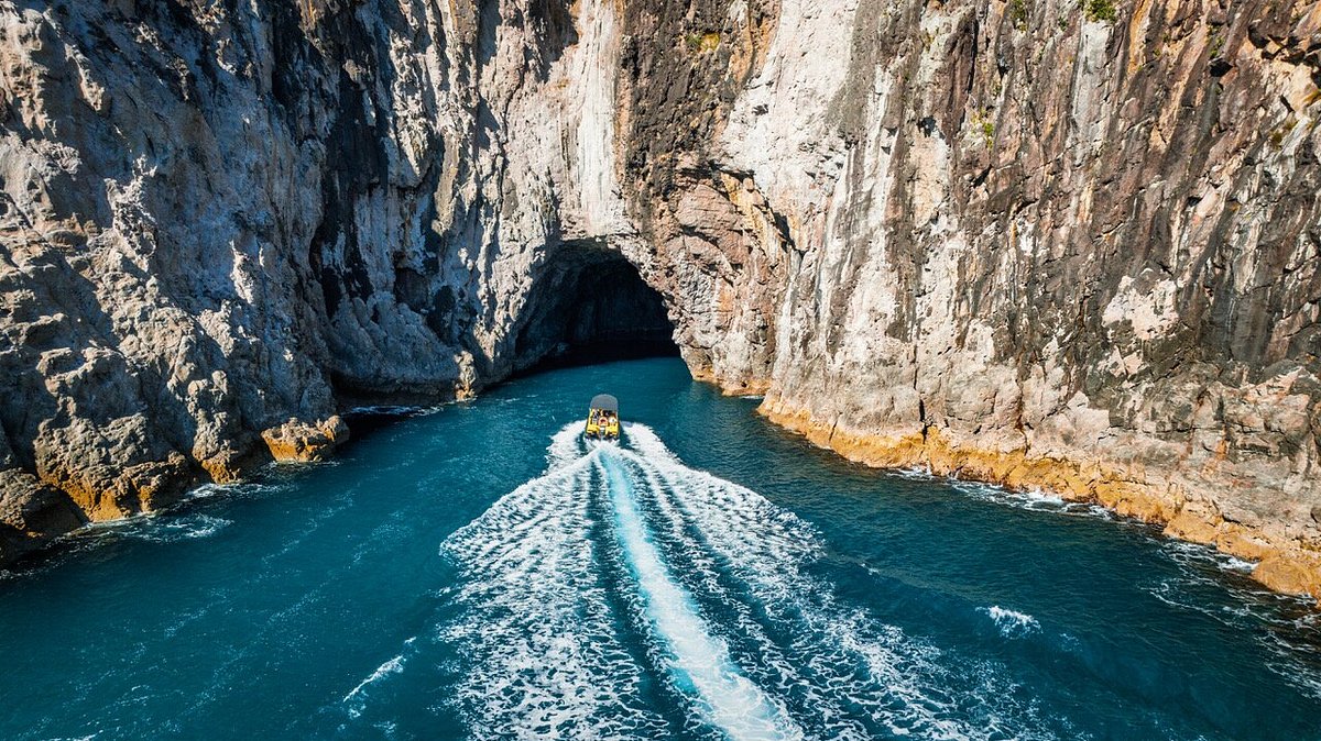 Ocean Leopard Tours